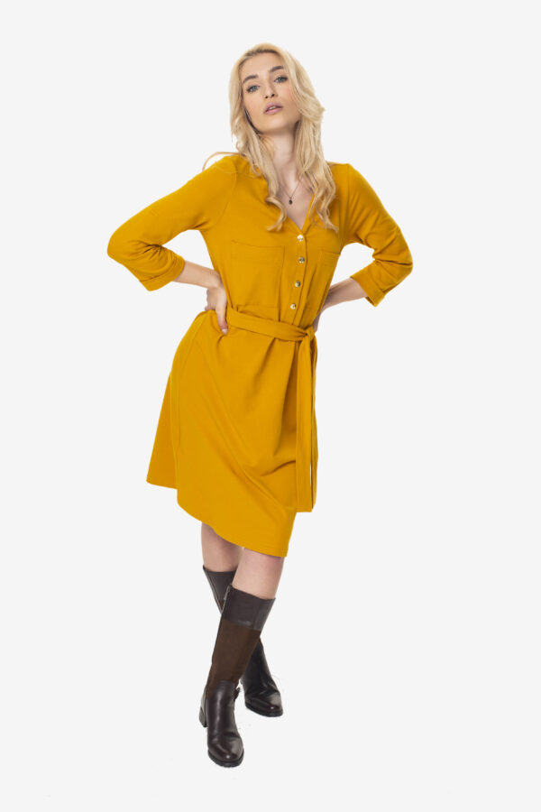 Mustard maternity dress for pregnancy and breastfeeding.